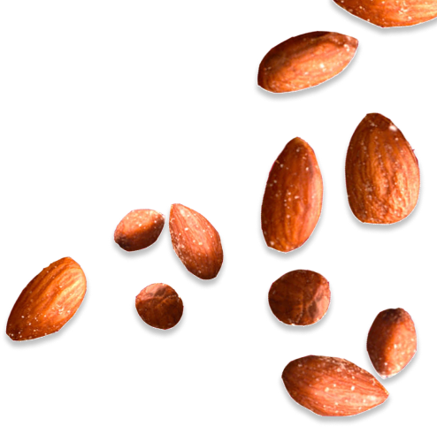 Almonds Right